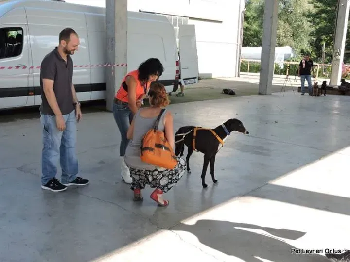 12042879 894845497265973 7770971591169490430 n