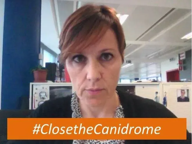 12042895 10207663791616950 8017035046706909869 n