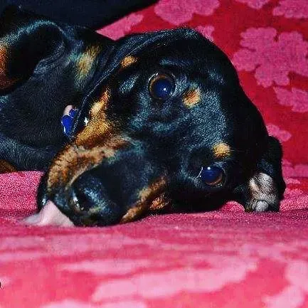 12042901 1112369822109597 572214965740951581 n