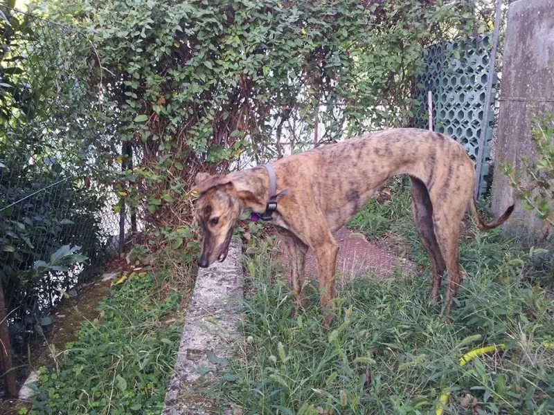 12042904 819799744803225 6599714157477916681 n