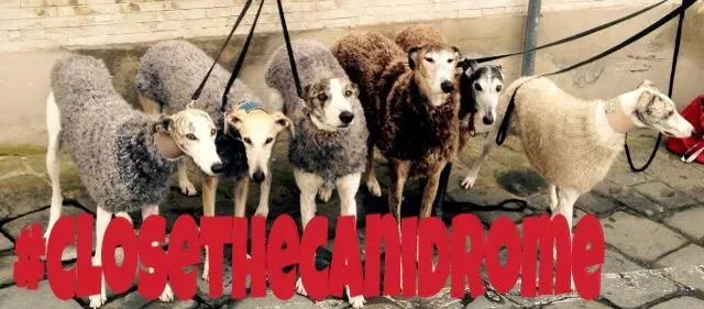 12042955 10205941880558535 1565607971535371127 n