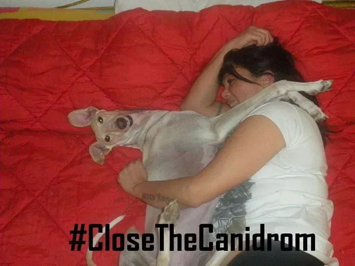 12042967 10206251239932361 213836868284747239 n