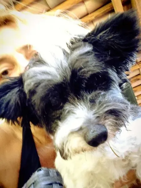 12042967 10206427729186859 3393865897821974241 n