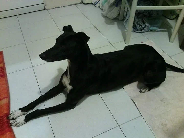 12043158 399089716964183 3780701780460838941 n