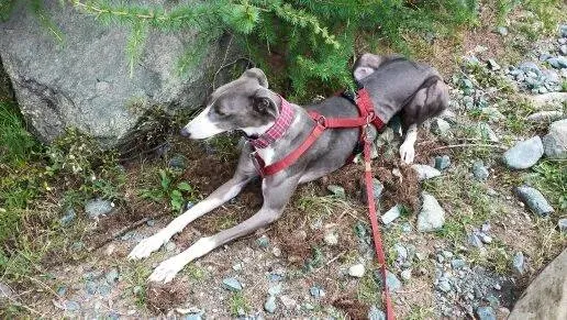 12043173 1264043373613230 5541042142203227666 n