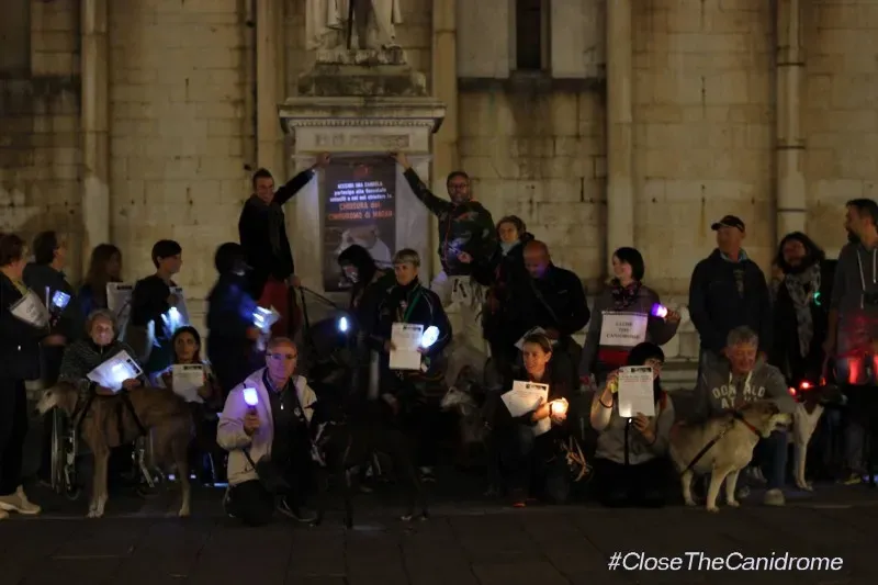 12045246 517883615046829 4329272944557879402 o1