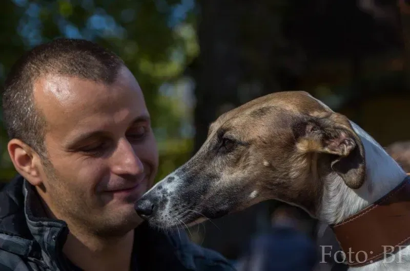 12045335 177496449257056 1650472549512042358 o1