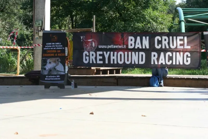 12045467 894538637296659 4990111151053288177 o