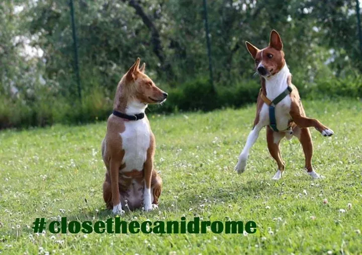 12046594 10207010511048595 8450296853237259575 n