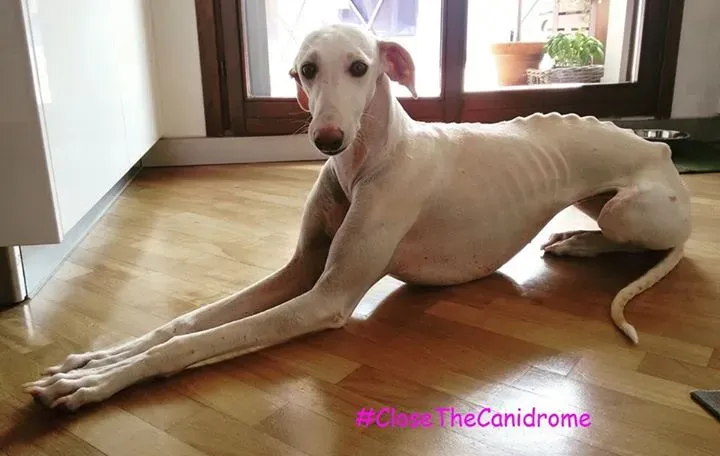 12046614 640861622722285 2849464442404022408 n