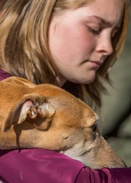 12046617 177496139257087 9035874438844903620 n