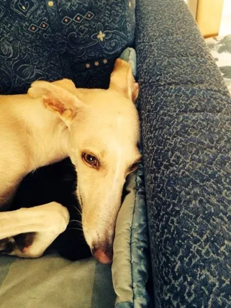 12046630 10206463162089990 1531550124206370237 n