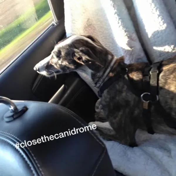 12046632 10207063714144388 3470767675816461801 n