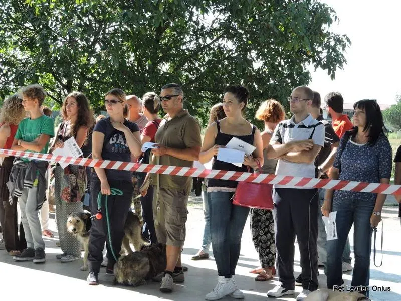 12046637 894617873955402 8204390700067311007 n