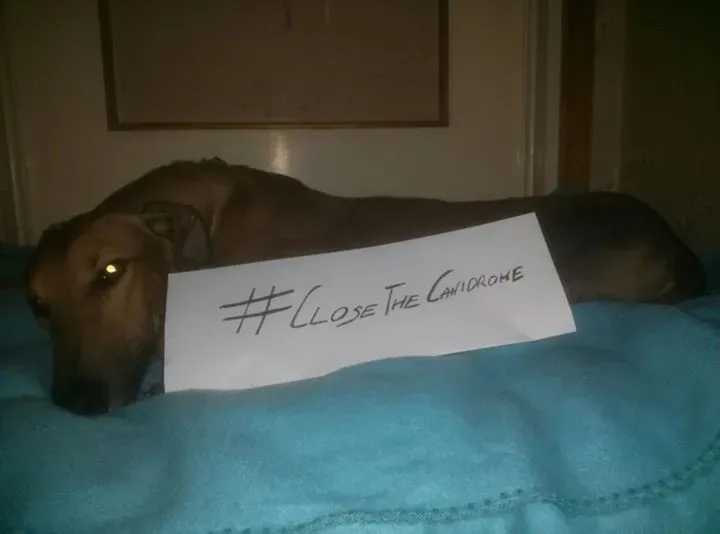 12046674 10203623804874089 7673248568047187166 n