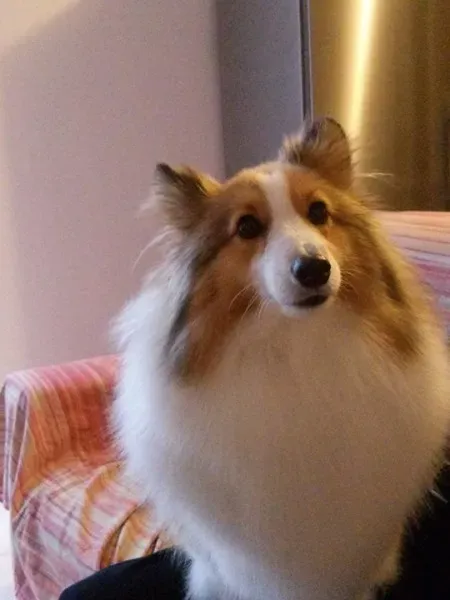 12046697 10207559417613272 6209970169322569718 n