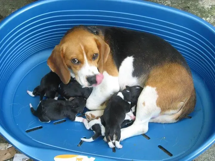 12046699 836191539833457 3527898351250480144 n