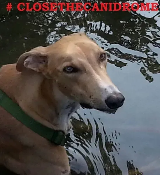 12046746 1692155307683034 853535967481113015 n