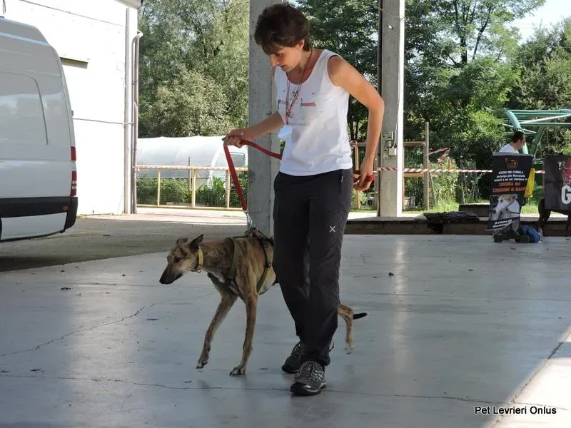 12046836 894845740599282 4164738982564614942 n