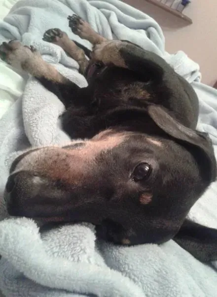 12046932 10206459760885639 1808791789931765182 n