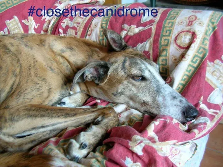 12046947 898165616933961 2060533896516254693 n