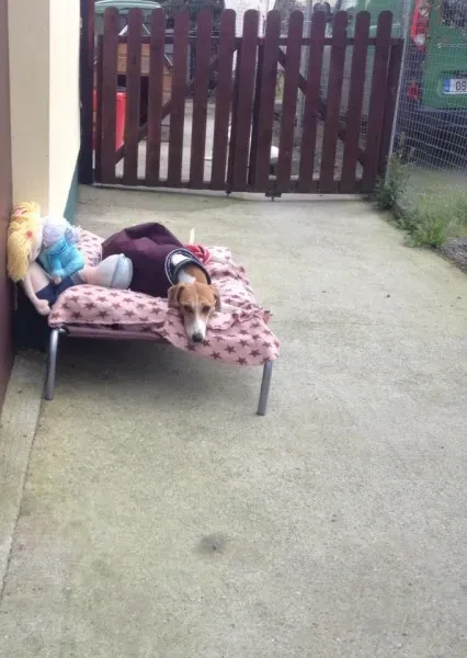 12046951 1086821738002191 8931073835863095762 n