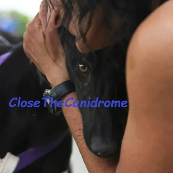 12046954 897204987030024 3564062979015457008 n