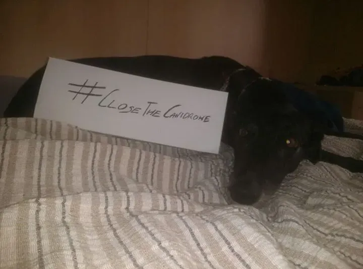 12047042 10203623804194072 4352680959695487411 n