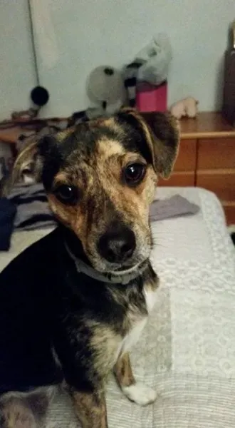 12047078 10204554305886856 3109928640633345281 n