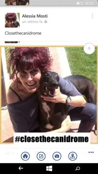 12047111 1638836846384518 2393303417891523031 n