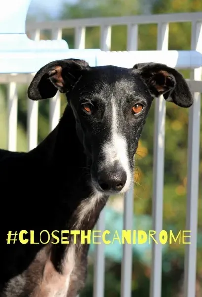 12047129 10207844856979817 7583857284322863255 n