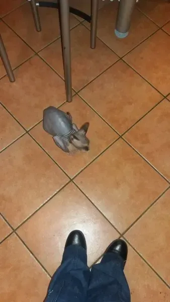 12047658 10207456894772839 500446085 n