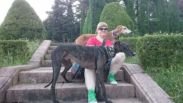 12049109 929392543793111 439530478216114436 n