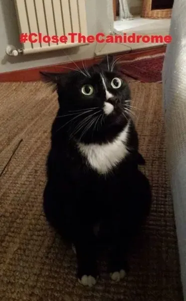 12049131 439798352872542 1815713600208581666 n