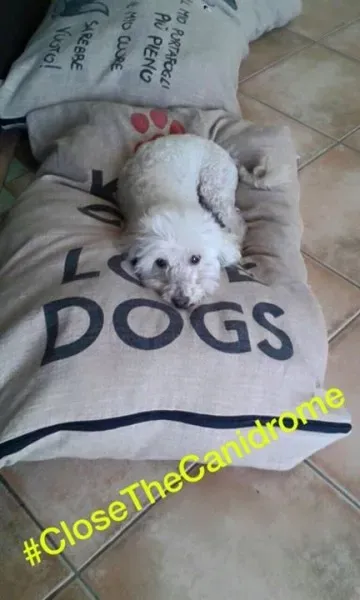 12049133 10153602514969029 3109265042217229053 n