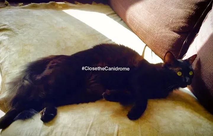 12049141 498005833706075 9049794822014181439 n