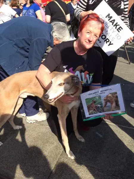 12049155 1087789234572108 1193386957198702354 n