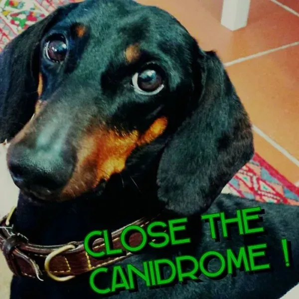 12049161 10206776467404080 1978592443814328014 n