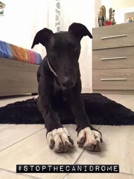 12049183 1047826258584287 4020113453263153018 n