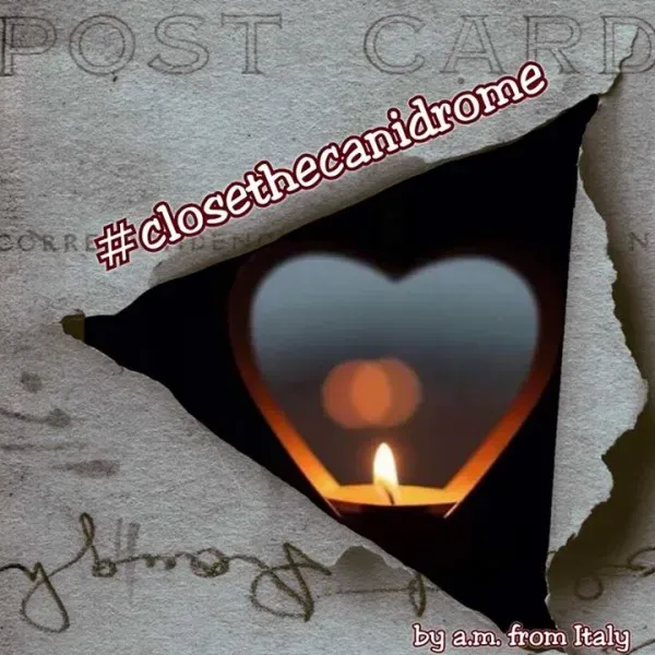 12049190 724680704302977 5759867346487782442 n