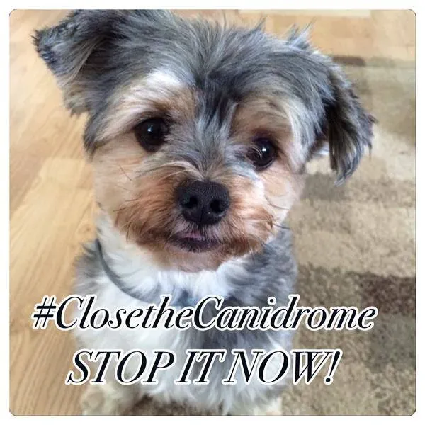 12049216 10153164997123354 1827470996433122772 n