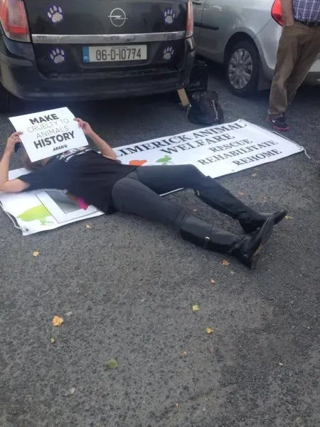 12049229 1087641667920198 5376436992068297129 n