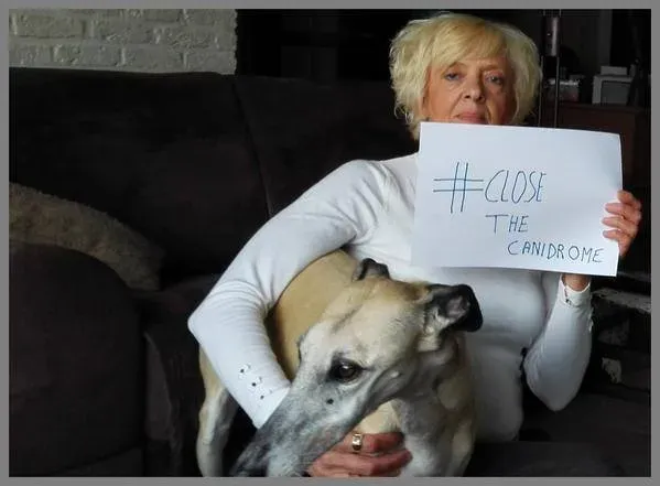 12049257 10153164997223354 7608824287287650227 n