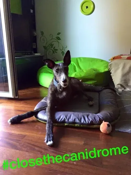 12049282 10207345503692049 7109828799044467253 n