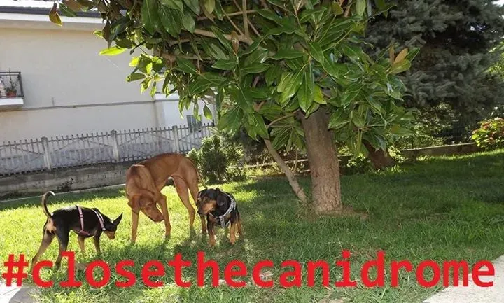 12049482 10206522259967913 1864970497909455075 n