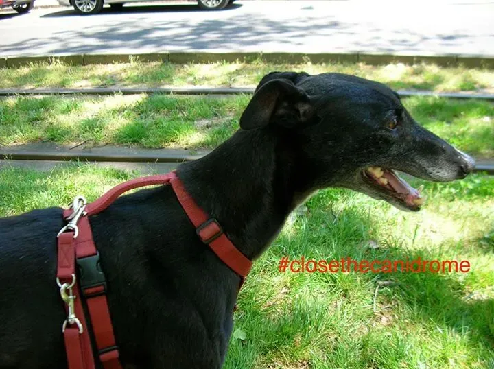 12049584 898164816934041 6250755887663501229 n