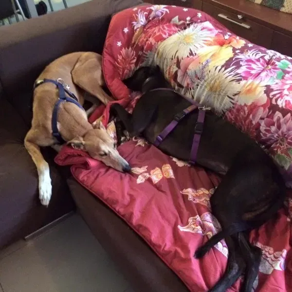 12049713 10207845087184025 919194893624254400 n