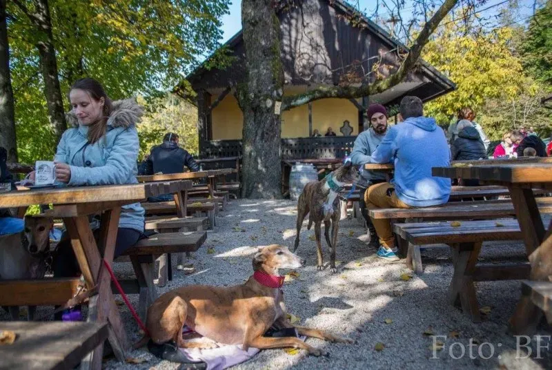 12052357 177496579257043 3479396241769049093 o