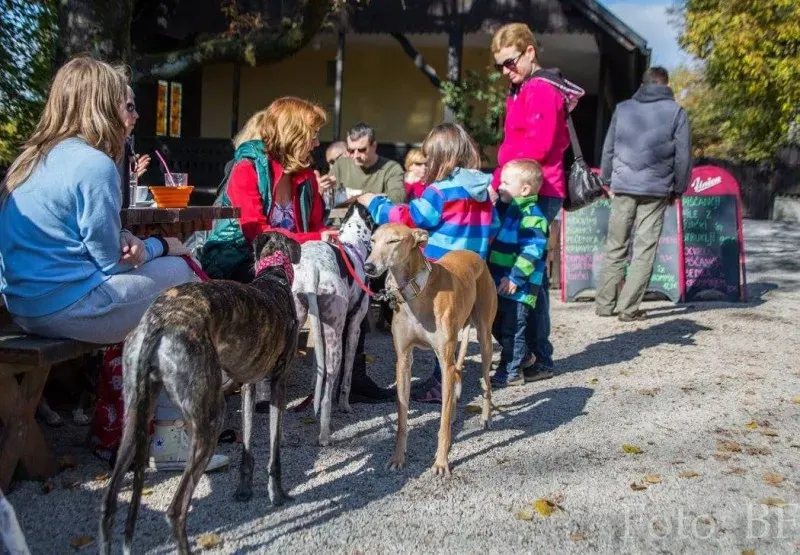 12052357 177496662590368 5773345300179487021 o