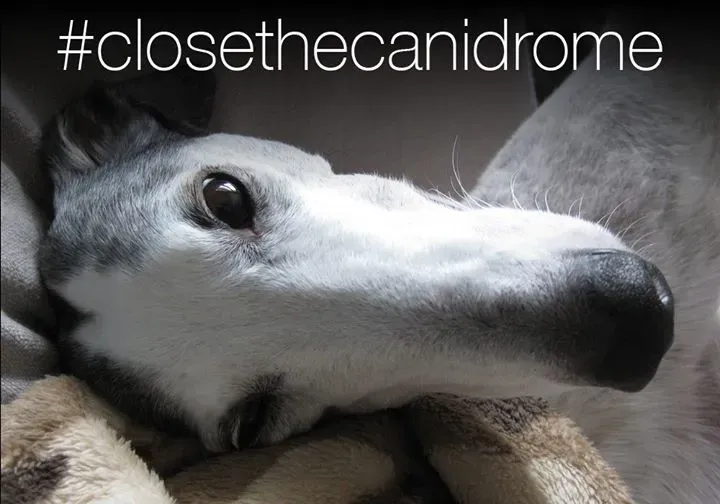 12052450 10206976534564848 8422234357371748503 o